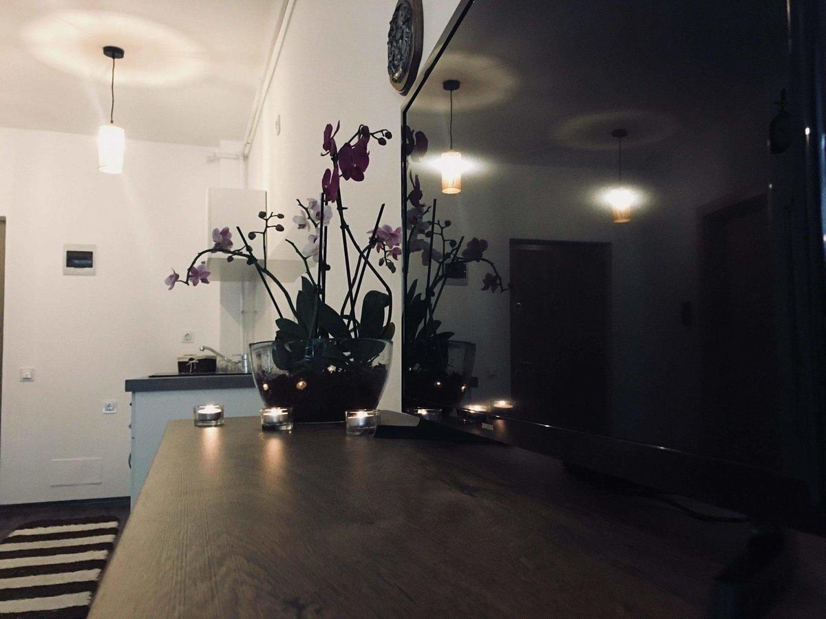 Cluj City Iris Appartment Εξωτερικό φωτογραφία