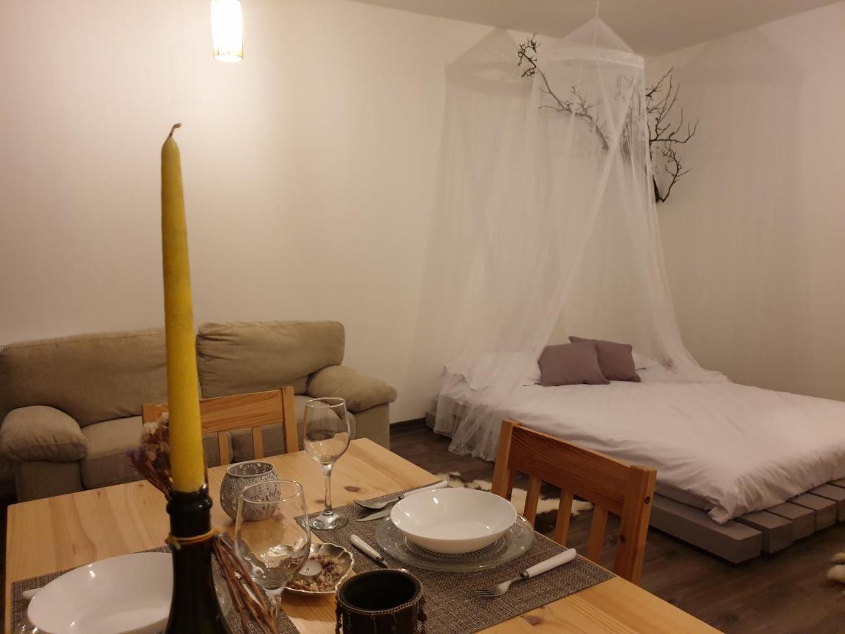 Cluj City Iris Appartment Εξωτερικό φωτογραφία
