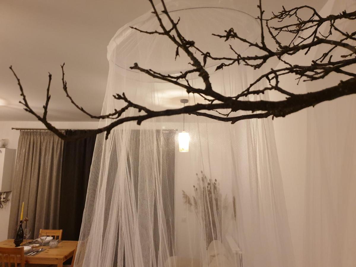 Cluj City Iris Appartment Εξωτερικό φωτογραφία