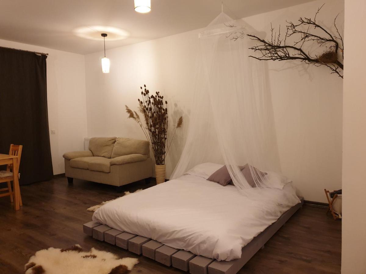 Cluj City Iris Appartment Εξωτερικό φωτογραφία