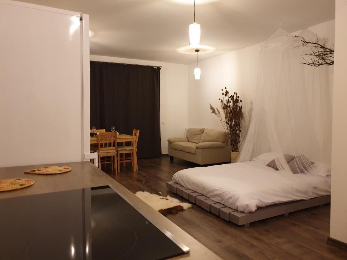 Cluj City Iris Appartment Εξωτερικό φωτογραφία