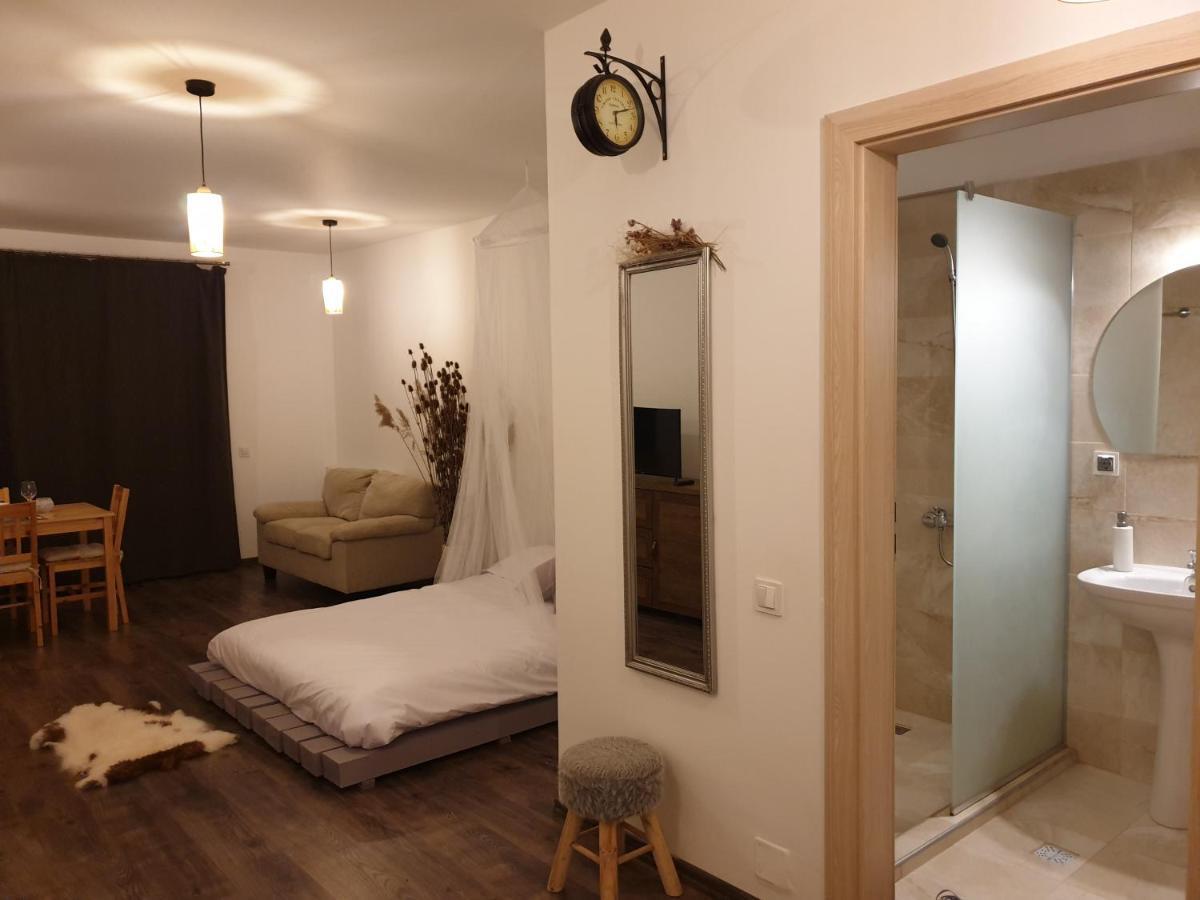 Cluj City Iris Appartment Εξωτερικό φωτογραφία