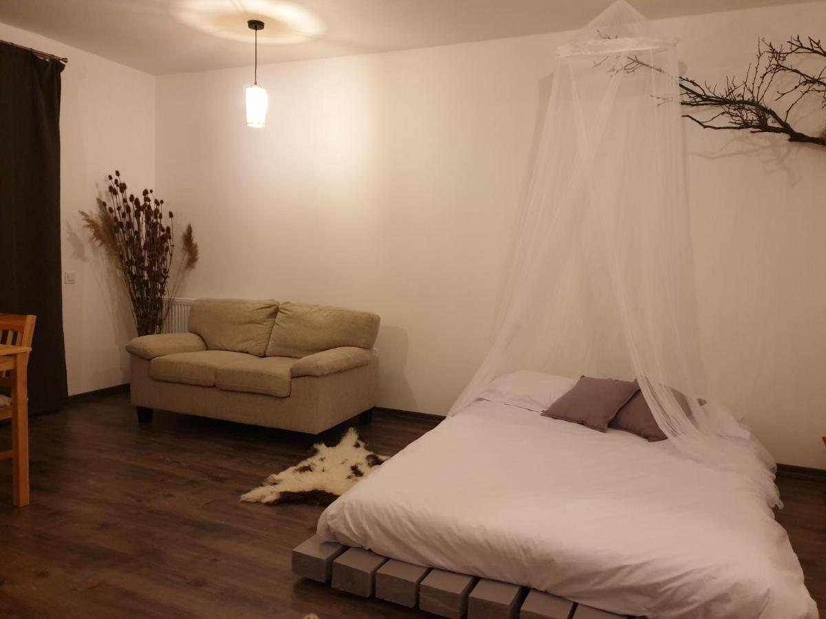 Cluj City Iris Appartment Εξωτερικό φωτογραφία